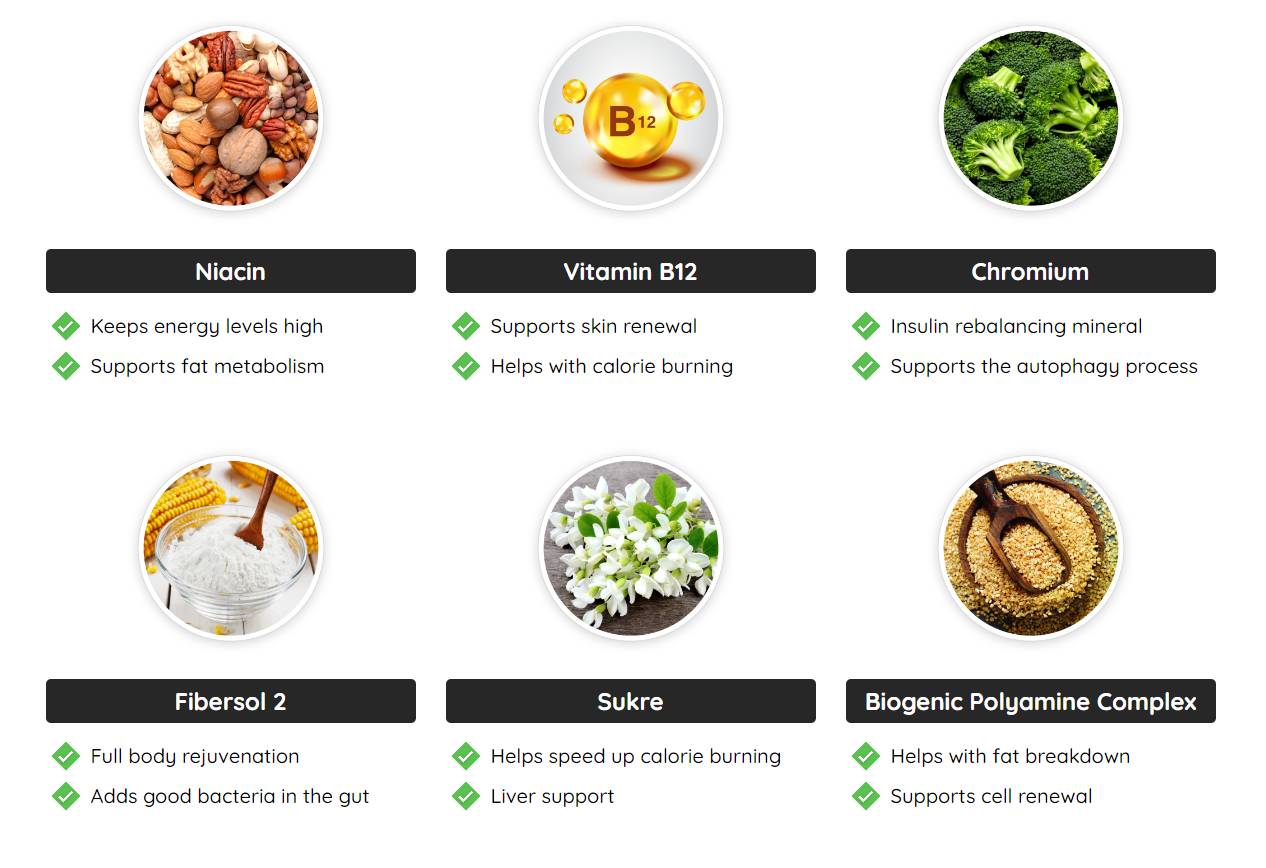 FastLeanPro Supplement Fact